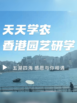 与香港园艺学会联合举办香港园艺研学，专业园境师带队讲解。